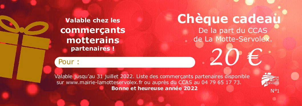 Chèque 2021 v4