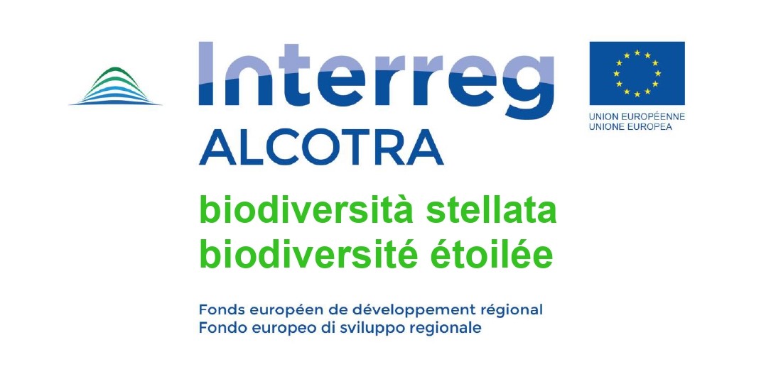 LOGO_biodiversità stellata – biodiversité étoilée