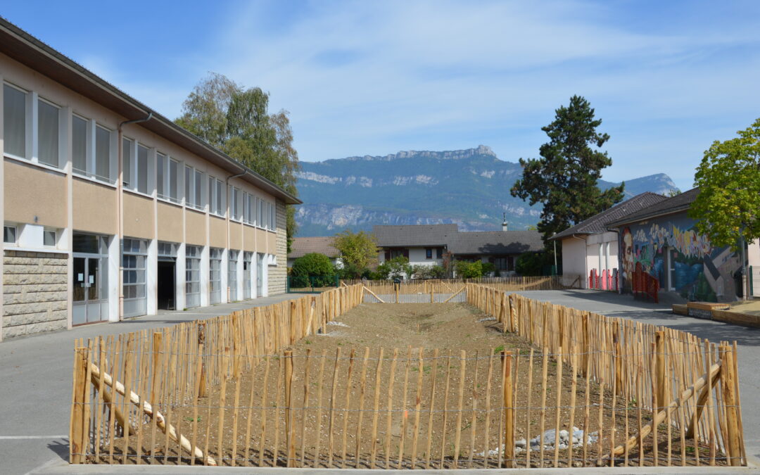 Renaturation de la cour de l’école élémentaire Lamartine