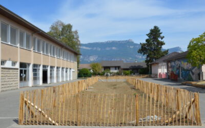 Renaturation de la cour de l’école élémentaire Lamartine