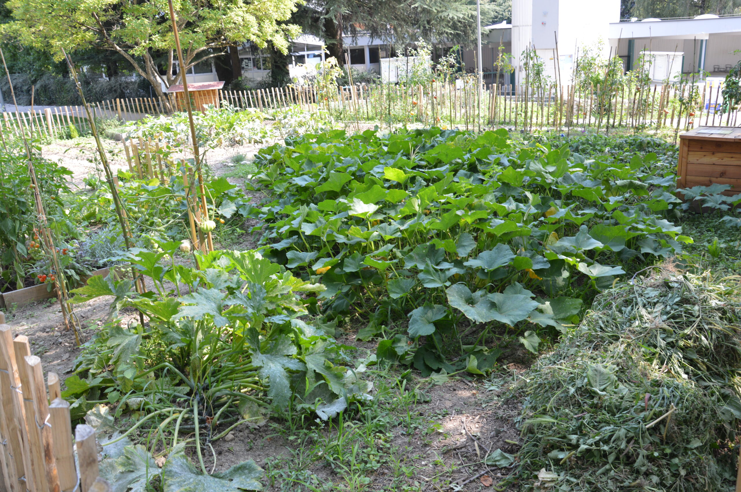 jardin