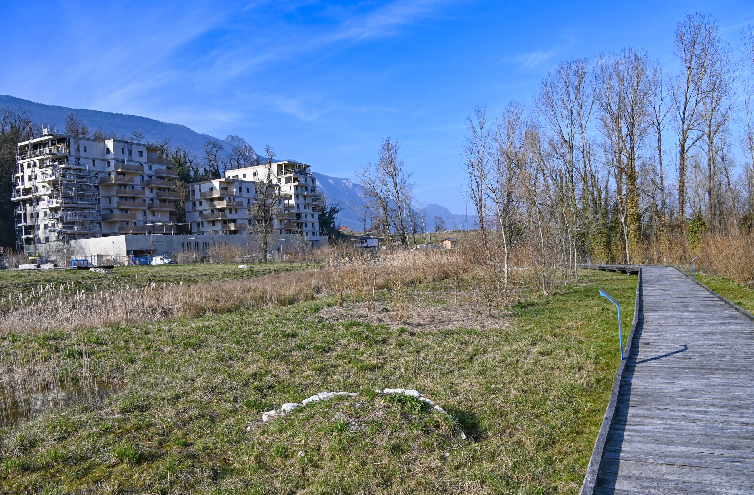 20250218_Eco hameau et parc nature (9)