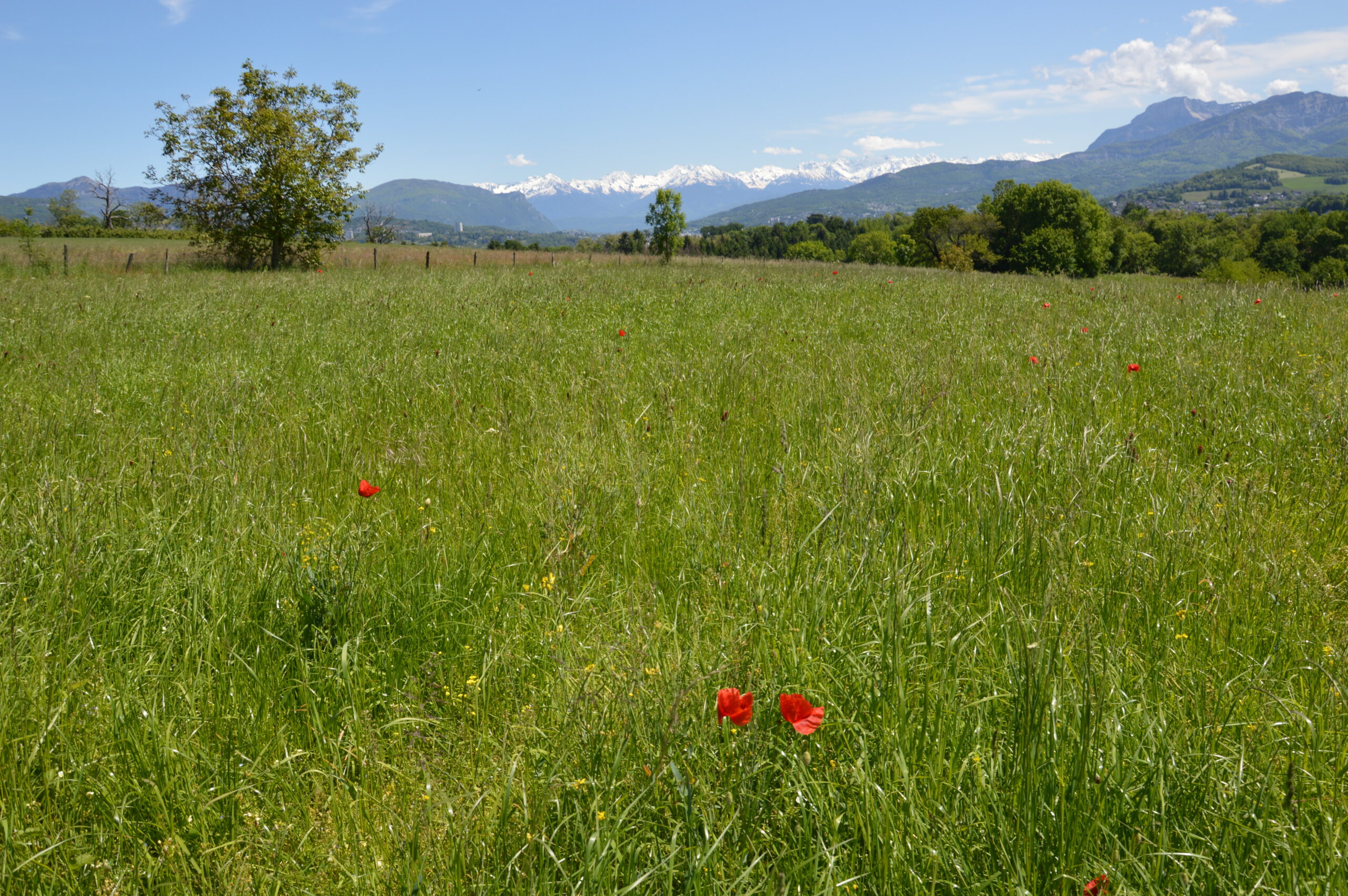 20210526_Paysage depuis route de Montarlet (8) Itinéraires chemins piétons
